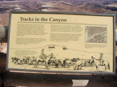 Canyon Lands National Park,  2-13-02..13.JPG