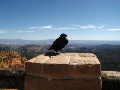 Bryce Canyon National Park Ponderosa Point  9-15-02..2.JPG