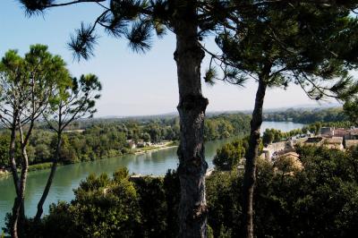 Avignon2.jpg