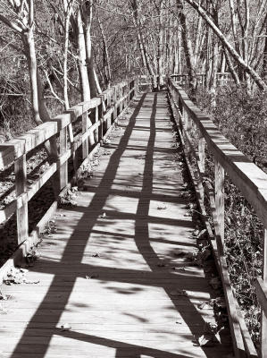 Marsh Walk in duotones