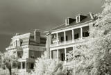 Bay Watchers in Infrared