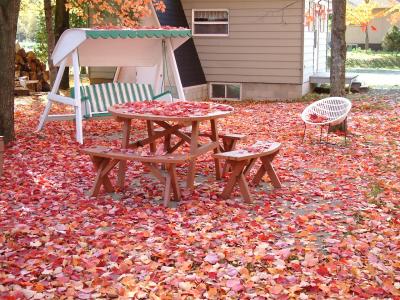 Le 15 octobre 2002 au chalet.jpg