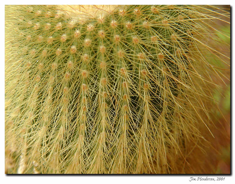 atexture & pattern2.jpg