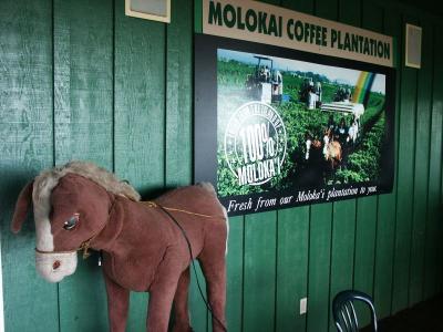 The Molokai coffee mule