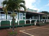 Molokai coffee farm