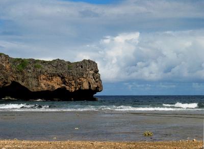 saipan-jungle-1.jpg