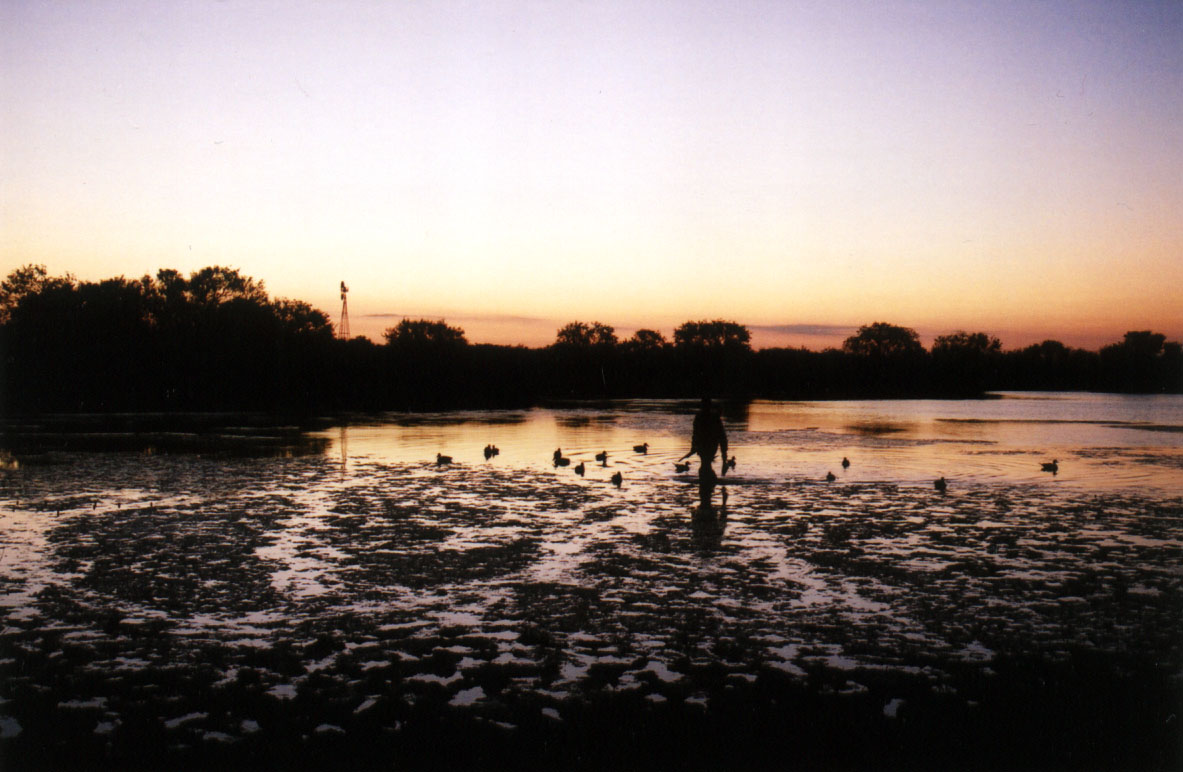Retrieving Ducks - Opening weekend:  Fall, 2001.