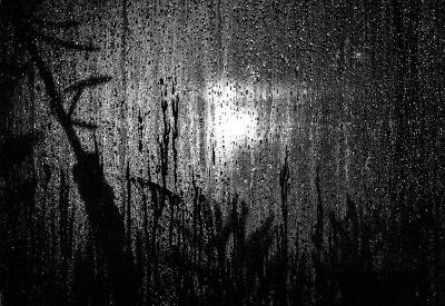 Nicer to be inside (exhibition) — Mike Fitzgerald