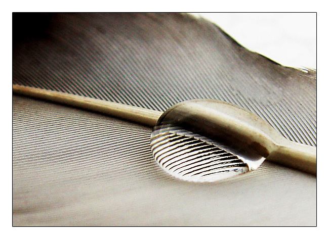 <b>Water Drop Patterns</b><br><font size=2><i>by  </i>Vikas