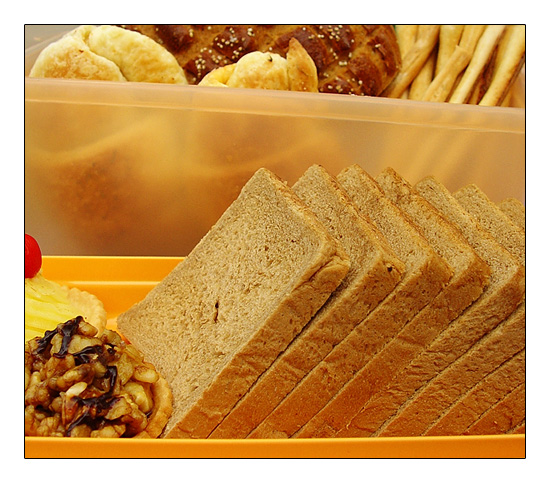 <b>Breaded Patterns</b><br><font size=2><i>by  </i>Vikas