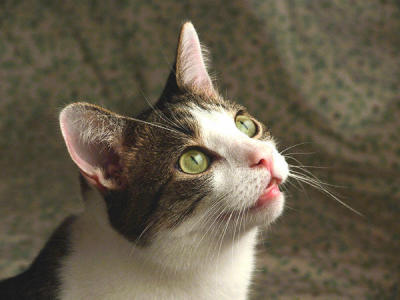 CRW_81571.JPG