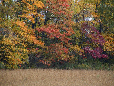 CRW_81651.JPG