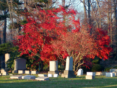 Fall Colors at Lakeview Cemetery