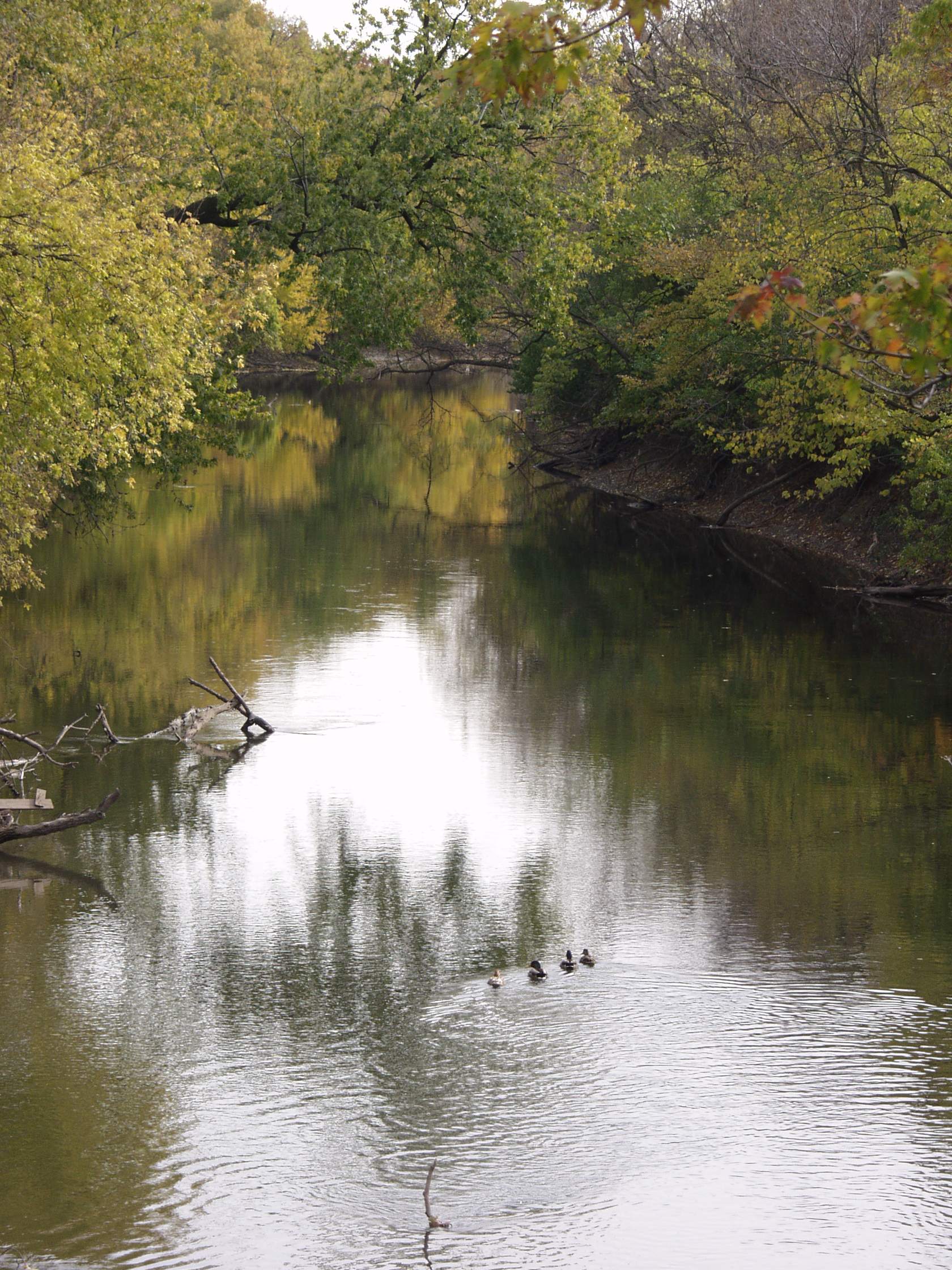 PA277549.JPG