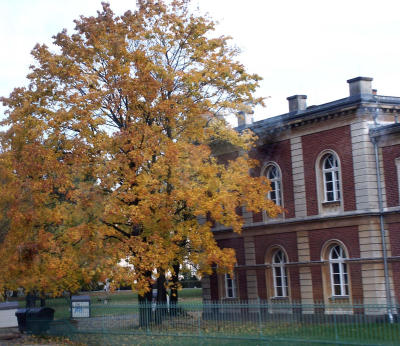 Potsdam U also 0962.jpg