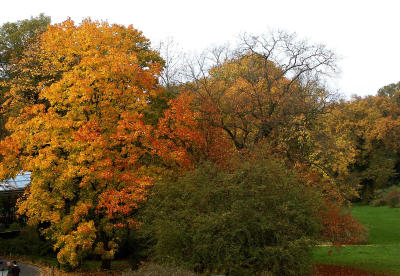 Potsdam-PICT0989.jpg