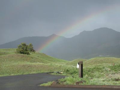 Rainbow near the den site.