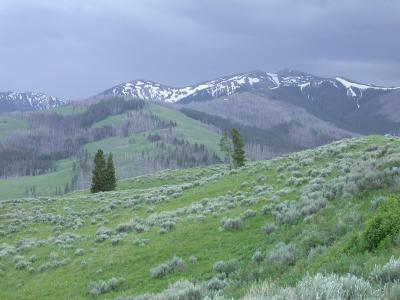 June snow.