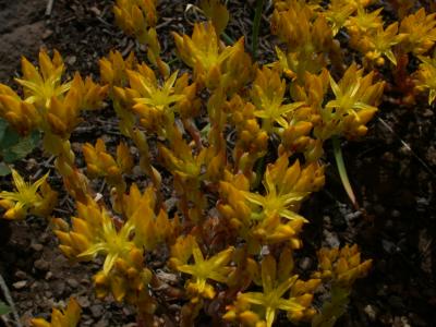 u30/46er/medium/18461739.YNP2003_113.jpg