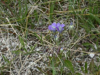 u30/46er/medium/18467291.YNP2003_216.jpg