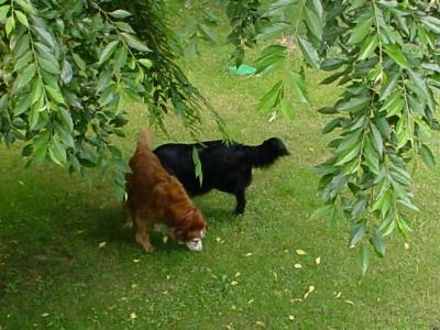 Winnie & Dakota