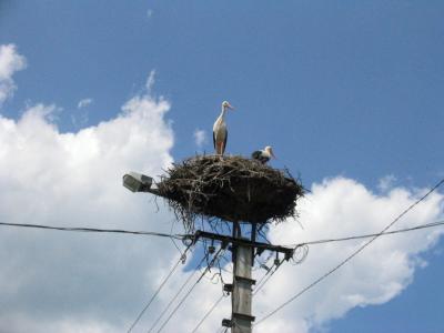 Stork's Nest, Northeast Hungary
