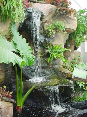 TropicalWaterfall.jpg