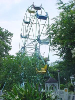 u30/anim8edcox/medium/18554477.FerrisWheel.jpg