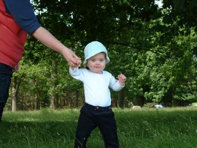 Lets go for a little walk...