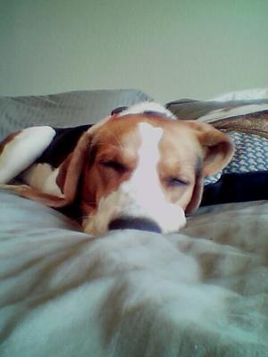 zzZZzZzzZZz