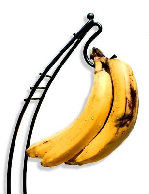 Still Life . . .