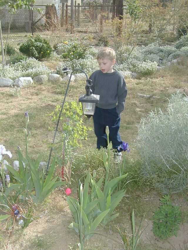 Easter Egg Hunt 2003