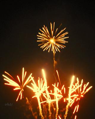 u30/britestar/medium/18673773.GoldenBurst.jpg