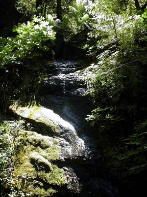 Dave's pic of a small waterfall.