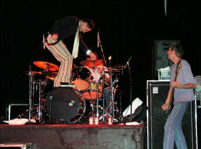 Gin Blossoms