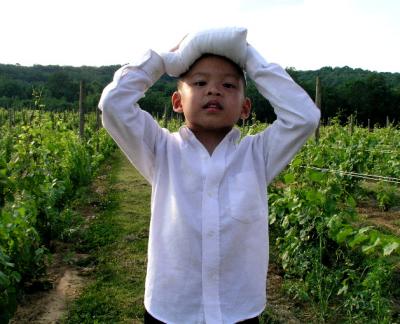 The Ring Bearer