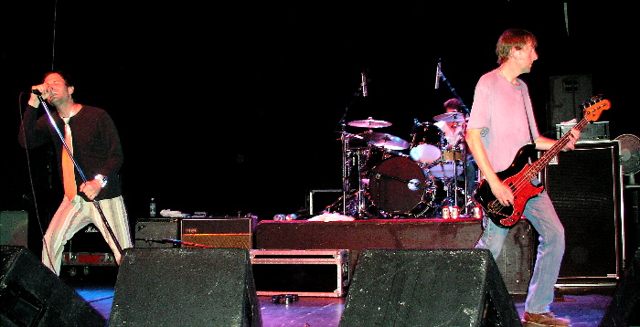 Gin Blossoms