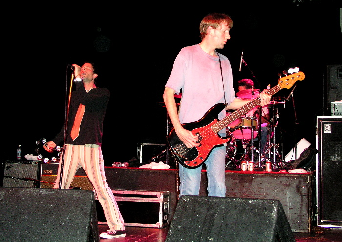 Gin Blossoms