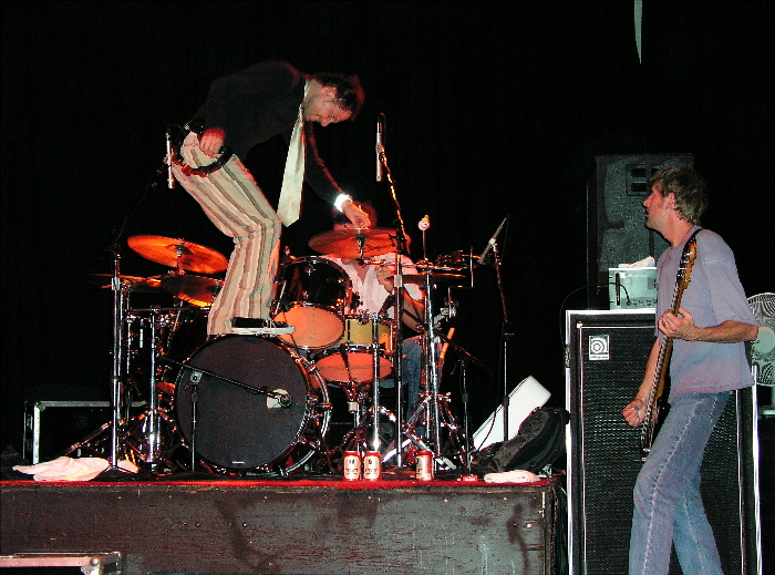 Gin Blossoms