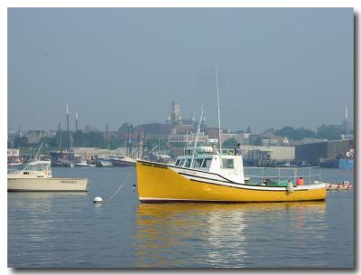 Peaceful Harbor