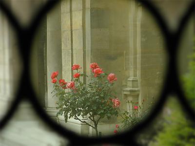 carnavalet.jpg