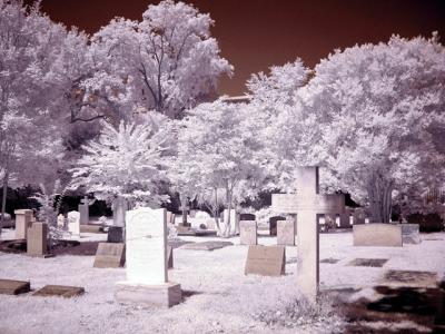 Charleston Graveyard 2