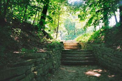 Inviting stairs ...