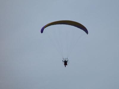 DSC06385.jpg