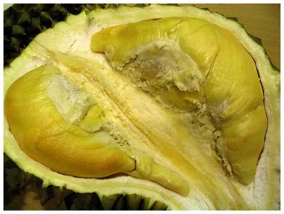 The King of Fruits Durian
