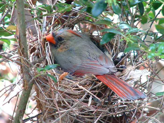DSCF5018e.jpg