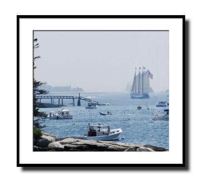 ....and circling in prep to enter the harbor.  (Maine, sailing, windjammer, schooner)