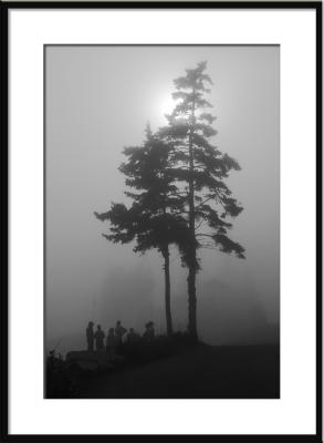 Facing into the sun...a group congregated after dinner. (fog, trees,Maine)
