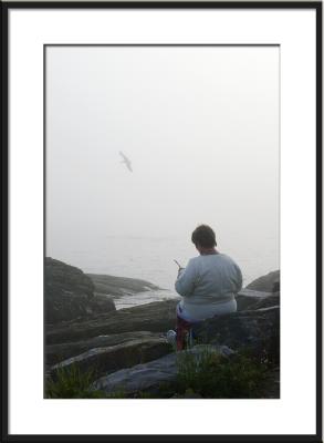 ...sit quietly and read a book alone. (fog, ledges, Maine)