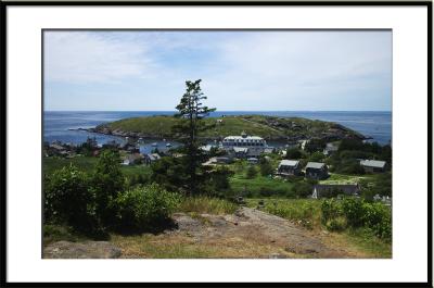 And who can blame them with a view like this??!! (Monhegan Island, Maine)